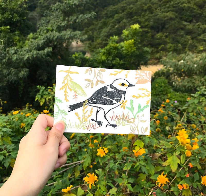 Wild bird prints postcards black collar starlings - การ์ด/โปสการ์ด - กระดาษ สีส้ม