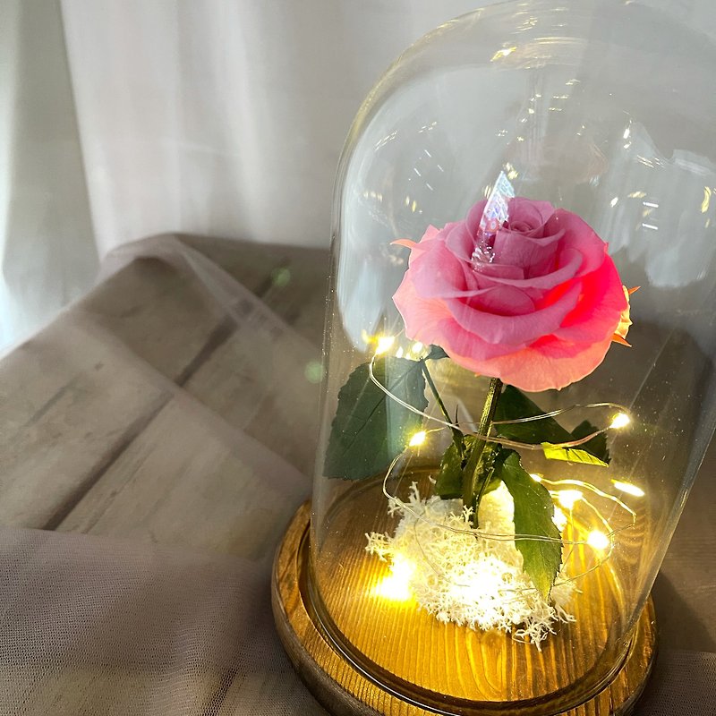 單隻永生玫瑰玻璃罩/美女與野獸/情人節禮物/生日禮物/紀念 - 擺飾/家飾品 - 植物．花 