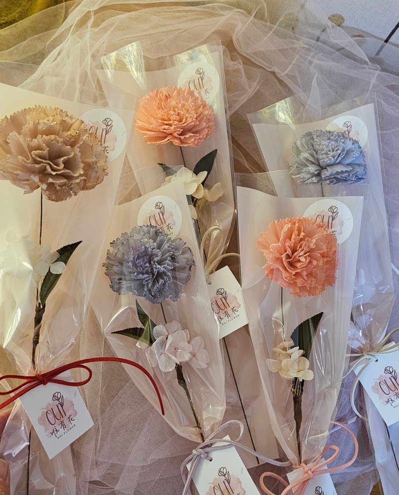 康乃馨花束(3色) \ 大尺寸 / 索拉花 擴香花-活動贈禮 大量訂購 - 乾燥花/永生花 - 植物．花 