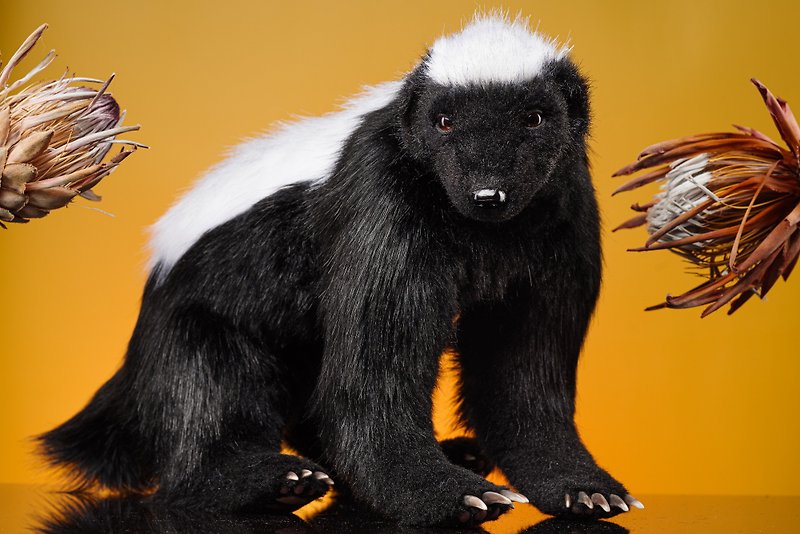 Honey Badger Realistic toy animal Teddy Bear - 公仔模型 - 羊毛 黑色