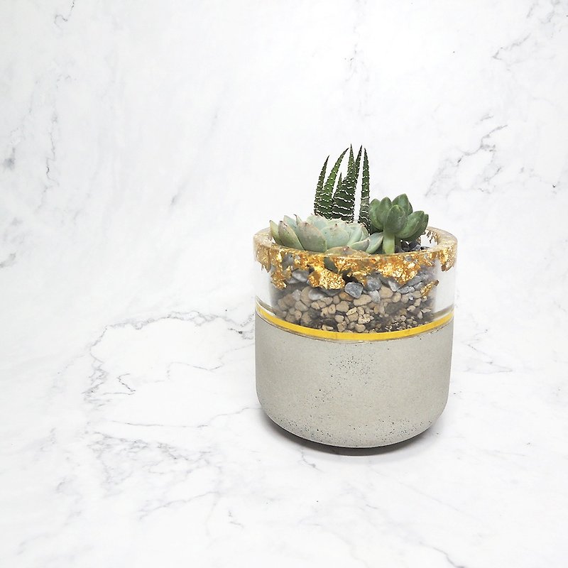 ∣Gold foil translucent Cement succulent planters∣Handmade mud pots/succulent shaped plants/customized orders - ตกแต่งต้นไม้ - ปูน สีเงิน