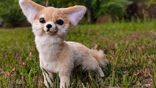 フェネック、ぬいぐるみ - ショップ MoonFoxToys 人形・フィギュア