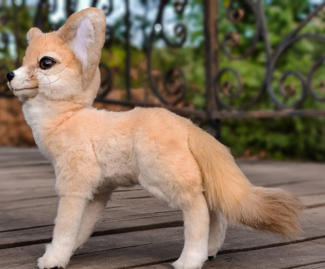 Realistic fennec fox toy - Shop MoonFoxToys Stuffed Dolls & Figurines -  Pinkoi