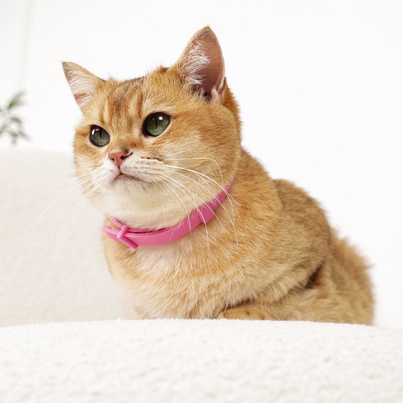 【MPETS】可持續長達 60 天左右 ~貓用鎮靜費洛蒙項圈系列 - 其他 - 其他材質 多色