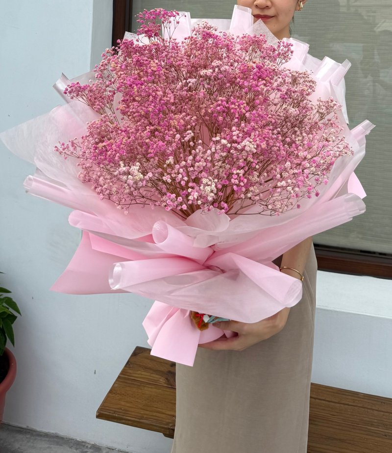 畢業滿天星巨大花束、永生花、乾燥花 - 乾燥花/永生花 - 植物．花 粉紅色