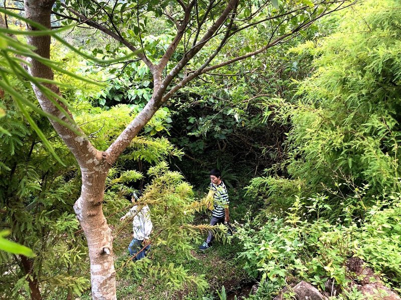 綠色體驗_自然森活 Green Life In Taipei - 深度旅遊 - 其他材質 