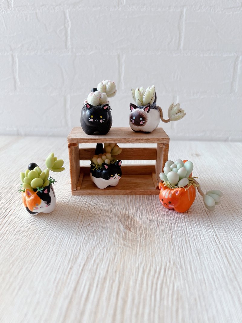 [Simulated clay succulent plant basin set-mini cat basin set of 5 (including small wooden box)] Made to order - Plants - Clay Multicolor