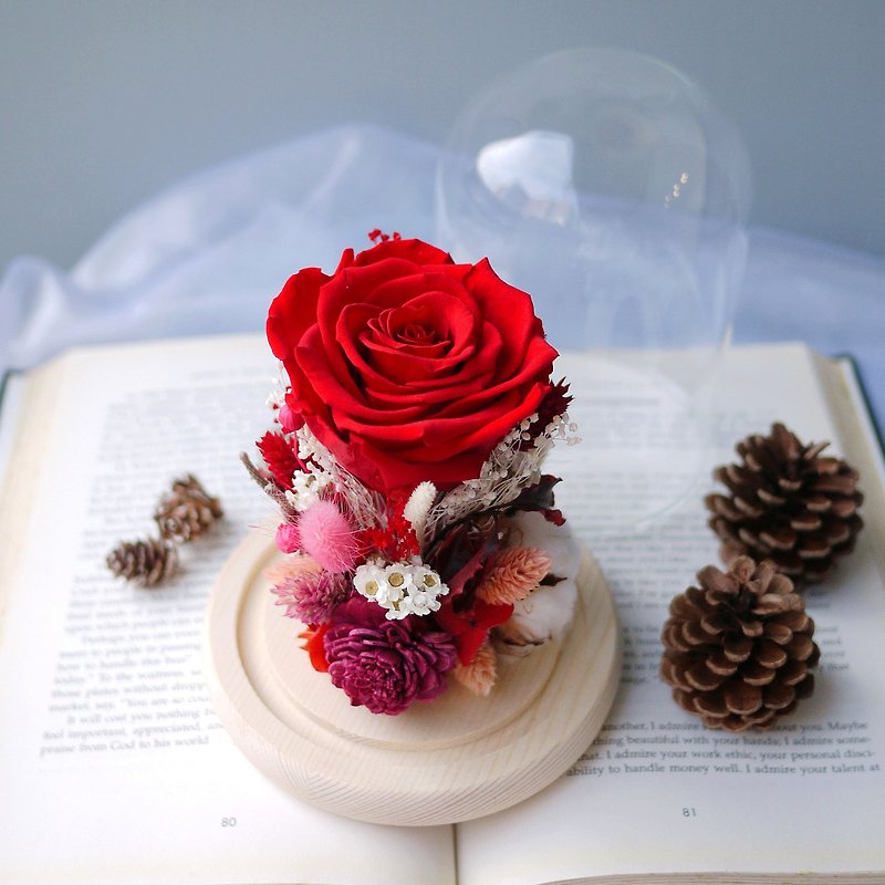 クリスマストリビュート-色あせないレッドバラのガラスカバー保存された花ステラフラワーバレンタインデー - ドライフラワー・ブーケ - 寄せ植え・花 レッド
