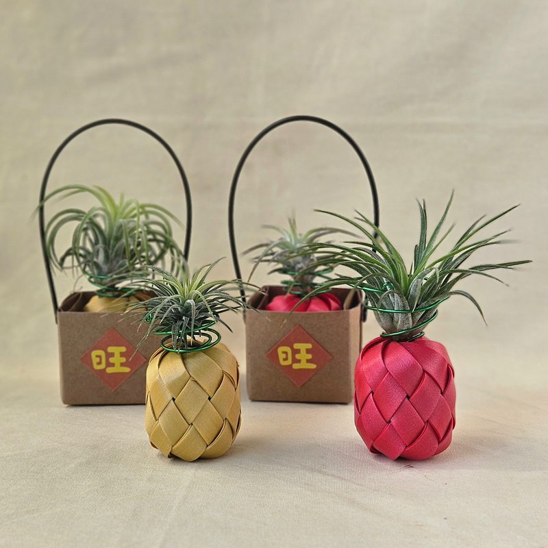 【エアプランツパイナップル】バスケットパッケージ（エアプランツ付き） - 観葉植物 - プラスチック レッド