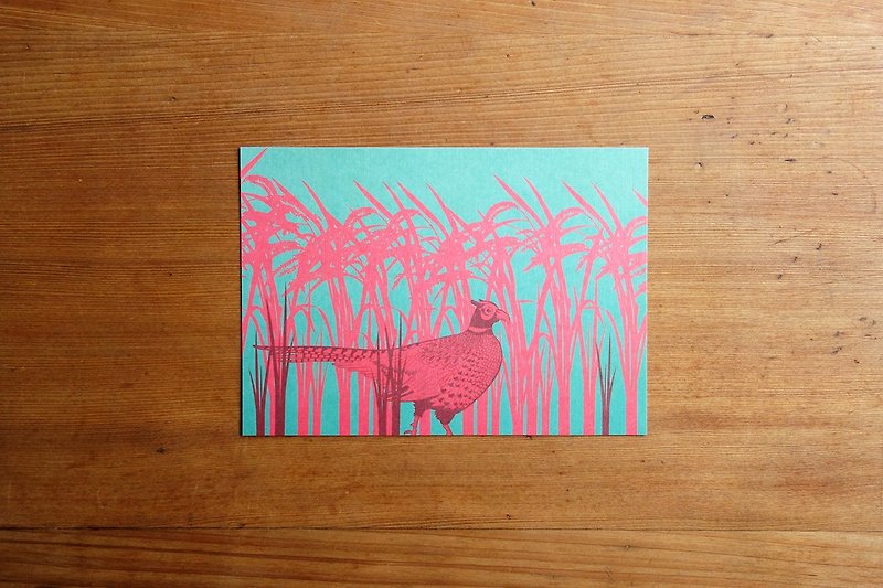 Post card- Ring-necked Pheasant-Ga Ga in the paddy field - การ์ด/โปสการ์ด - กระดาษ 