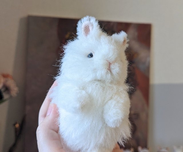 white bunny with blue eyes