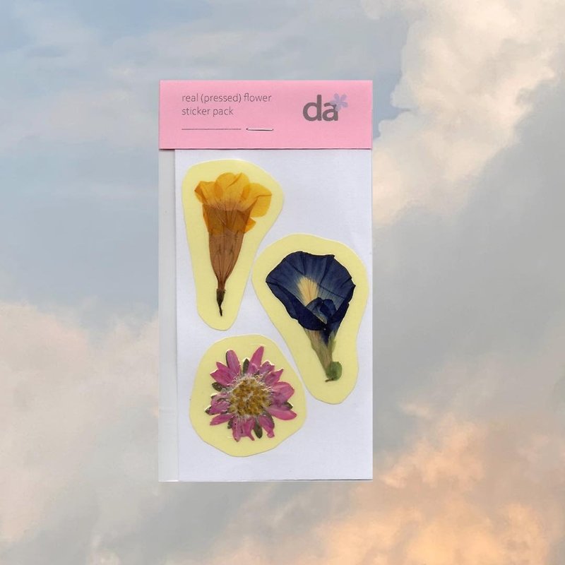 dried flower sticker (mixed flower, trio) - 貼紙 - 塑膠 多色