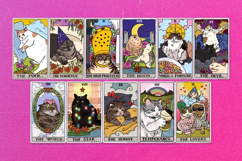 The Star Tarot Cat - Tarot Card - Sticker