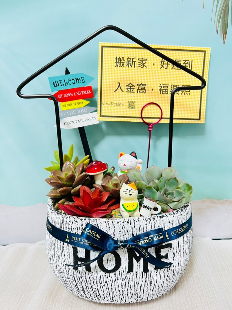 質感素雅HOME客製組盆 開幕誌慶 新居落成 升官喬遷 婚禮 生日禮 - 盆栽/植栽 - 水泥 銀色