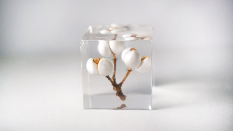 White fruiting branches - three-dimensional square dried flowers decoration (imperfect series) - Other - Acrylic White
