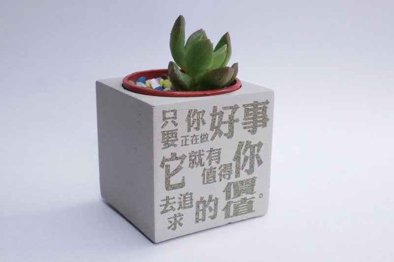 多肉水泥盆-金句名言-梅依馬斯克 - 盆栽/植栽 - 水泥 灰色