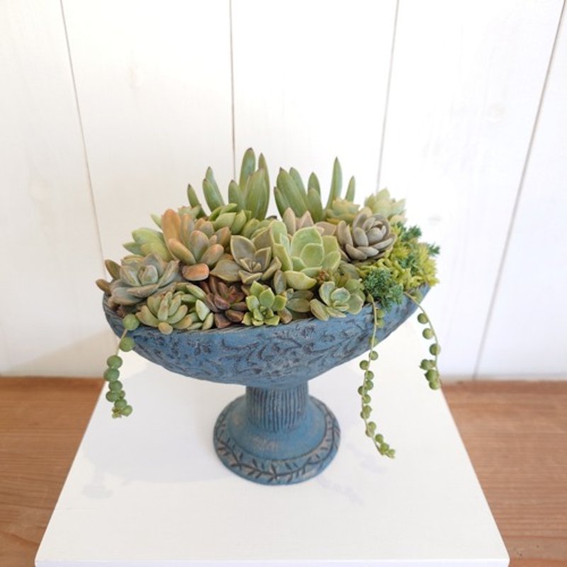 Oval Flower Pot Lace - Plants - Pottery Green