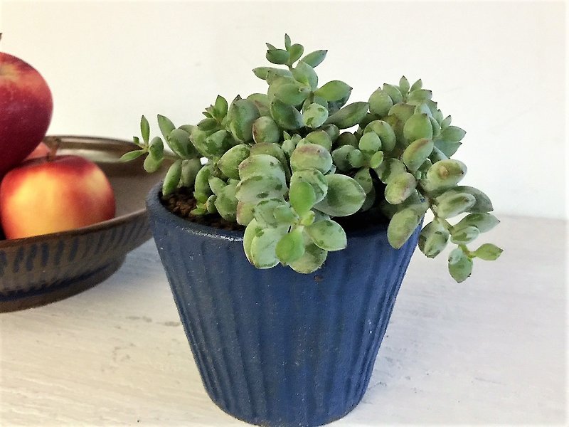Denim blue simple straight pattern_pottery flower pot - Plants - Pottery Blue