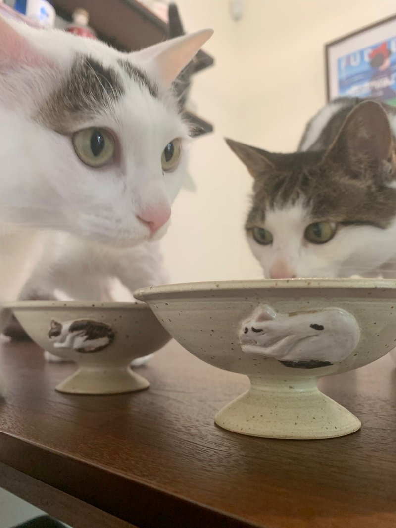 The Umai! Cat Bowl - Pet Bowls - Pottery Khaki