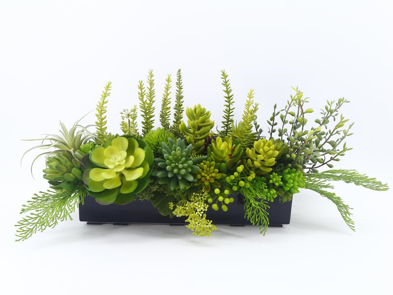 多肉植物組合香氛植栽 免運專人配送限雙北市 其餘地區需補運費 - 盆栽/植栽 - 其他材質 綠色