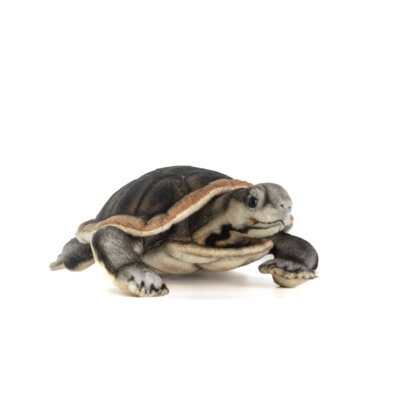 Hansa 8426-Manning River Turtle 28 cm long - Items for Display - Eco-Friendly Materials Brown