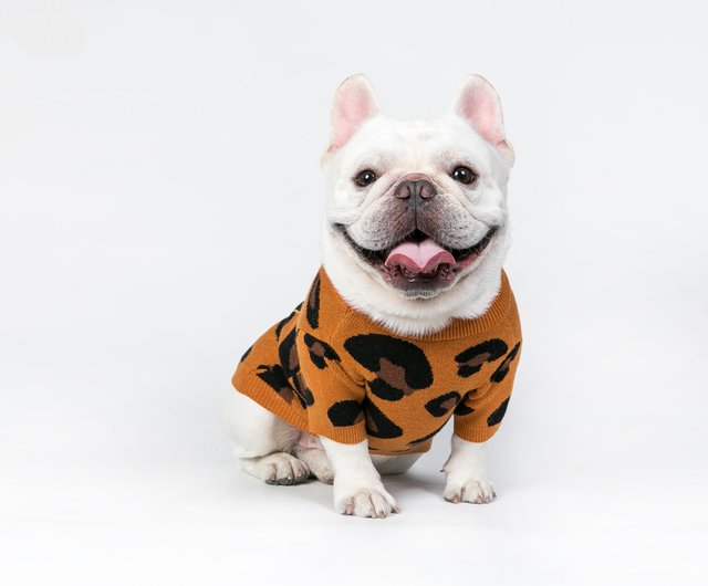 leopard print dog clothes