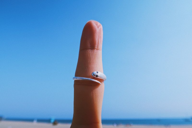 SEA SNAKE  RING - General Rings - Sterling Silver Silver