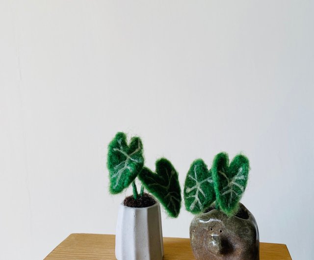 羊毛フェルト | 岩長葉観音蓮鉢セメント鉢 | 手練り陶器鉢(2種) / 017