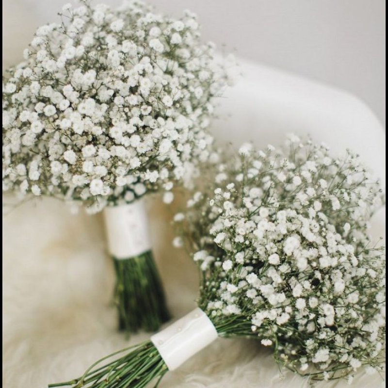 野望排他的な受注 - 赤ちゃんの息の花束×2 - 観葉植物 - 寄せ植え・花 ホワイト