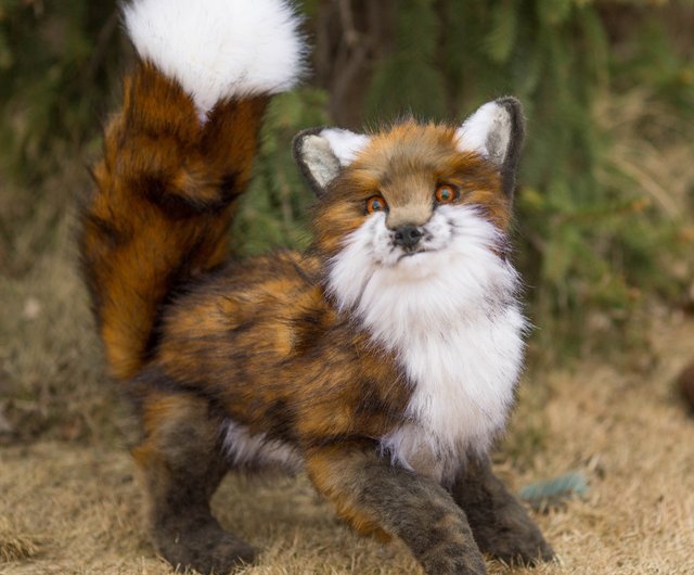 Realistic fox plush, Faux Taxidermy Plushies Animal Collectible - Shop  WoolCraft Stuffed Dolls & Figurines - Pinkoi