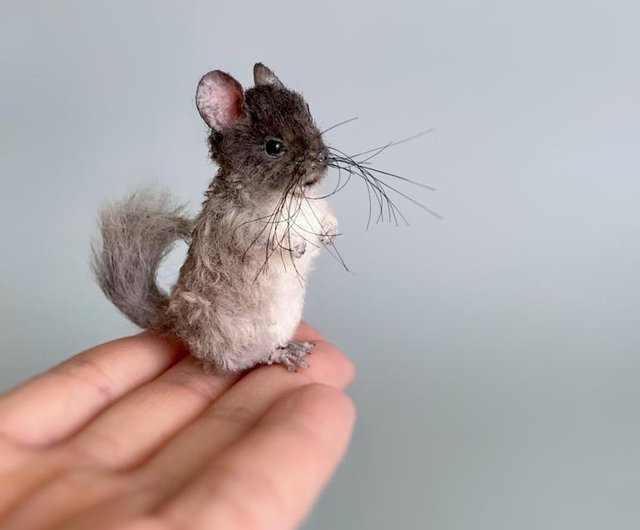 Tiny chinchilla 2024