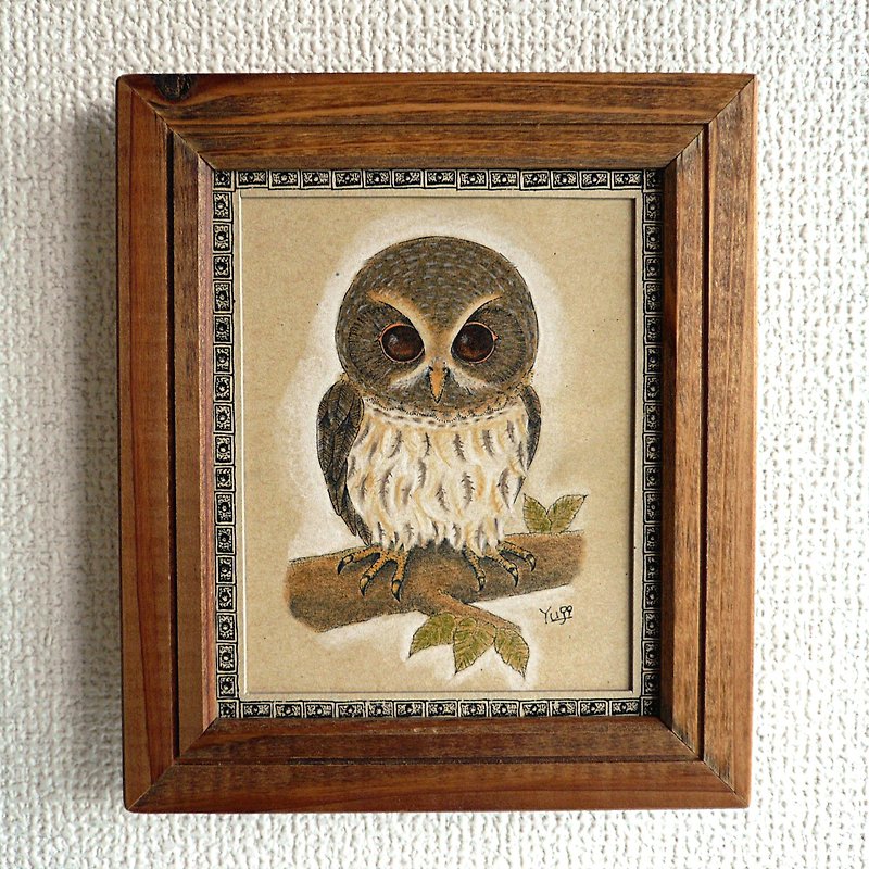 【Framed】 Nan Bay Chick owl - Posters - Paper White