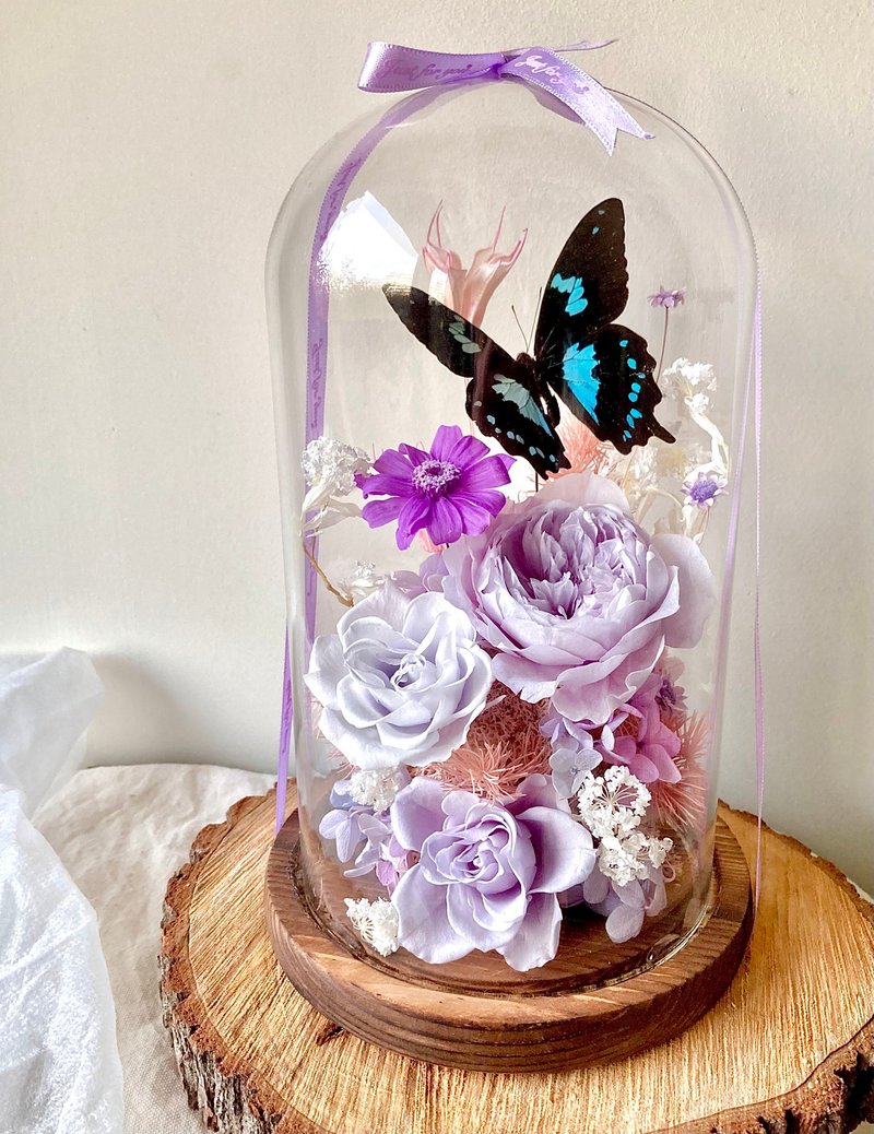 Papilio epiphorbas 鳳蝶∣永生花玻璃盅∣開幕∣情人節∣母親節 - 乾燥花/永生花 - 植物．花 紫色