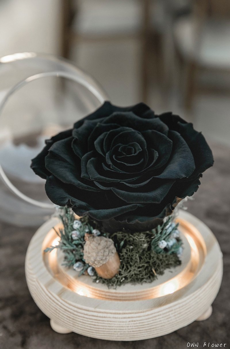 Black rose/flower night light/eternal flower glass cup/birthday gift/graduation gift/eternal flower gift/everlasting flower - ช่อดอกไม้แห้ง - พืช/ดอกไม้ สีดำ