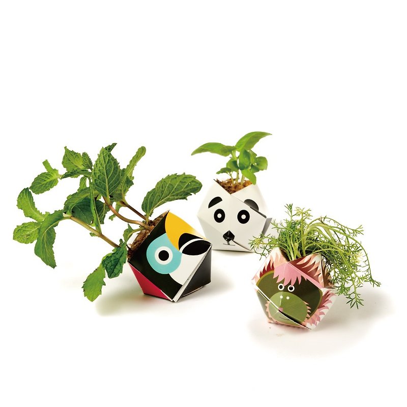 German origami potted plant set - toucan, giant panda, gorilla - Plants & Floral Arrangement - Other Materials 