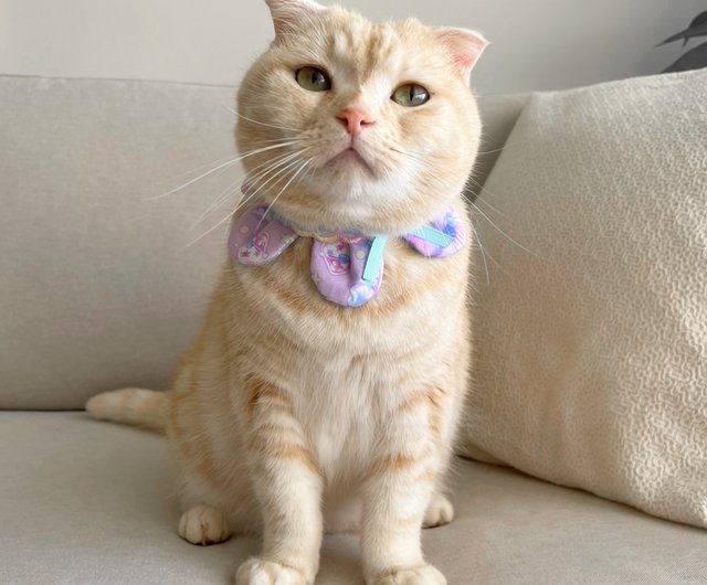 Cat deals scarf collar