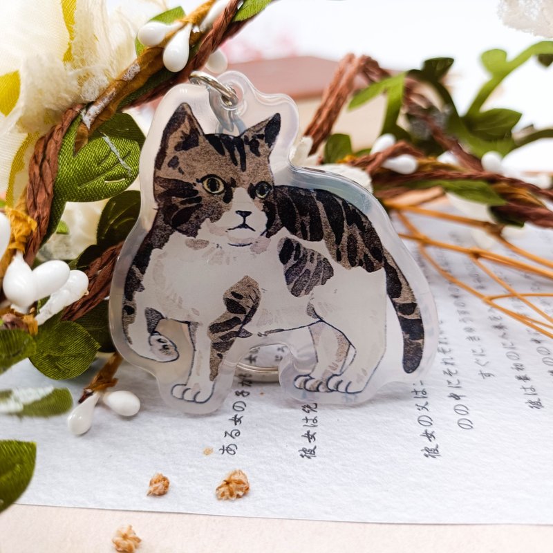 KR423厭世虎斑 Misanthrope Tabby Cat/晶透吊飾 - 鑰匙圈/鑰匙包 - 塑膠 多色
