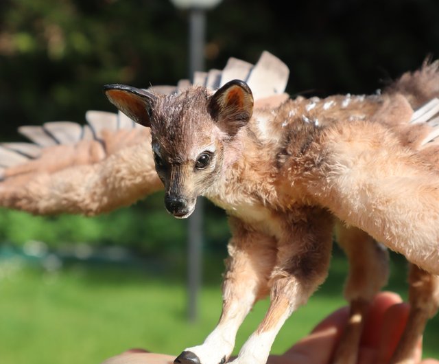 妖精？猫？鹿？うさぎ？架空空想生物人形 アートドールハンドメイド(説明欄必読) 妖精？猫？鹿？うさぎ？架空空想生物人形 アートドール