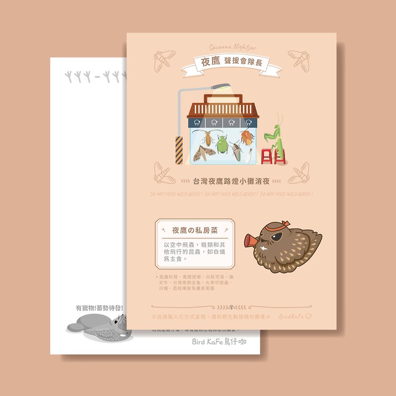 Bird Postcard - Savanna Nightjar - Cards & Postcards - Paper Khaki