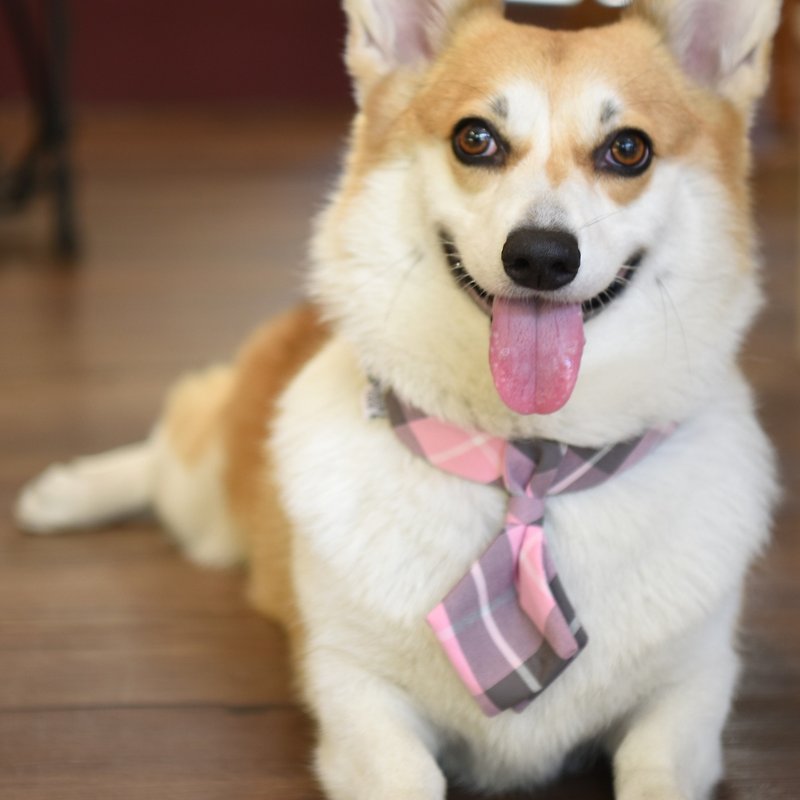 Handmade Classic Tartan/ Plaid Pet Dog Collar Accessory-Tie - Pink Grid【ZAZAZOO】 - ปลอกคอ - ผ้าฝ้าย/ผ้าลินิน สึชมพู