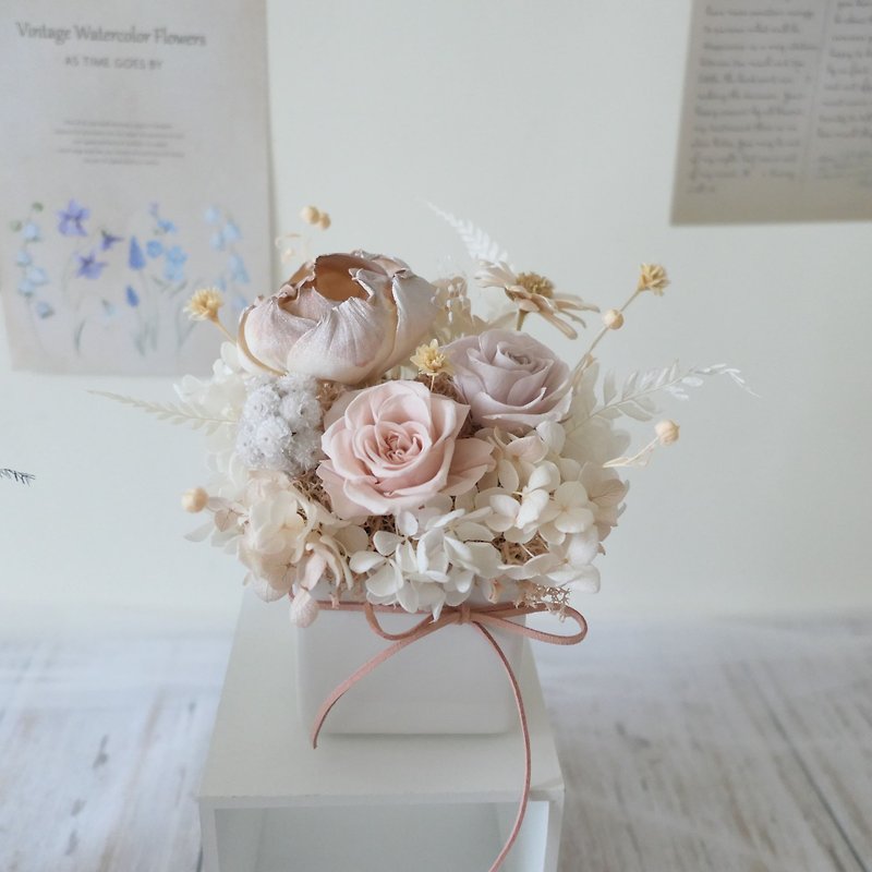 [Milk tea color eternal square potted flowers] New home gift/opening gift/birthday gift/everlasting flower - Dried Flowers & Bouquets - Plants & Flowers 
