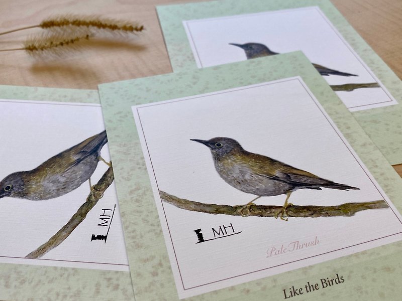Hand-painted Postcard of Taiwan Common Mountain Bird - White-bellied Thrush - Cards & Postcards - Paper White