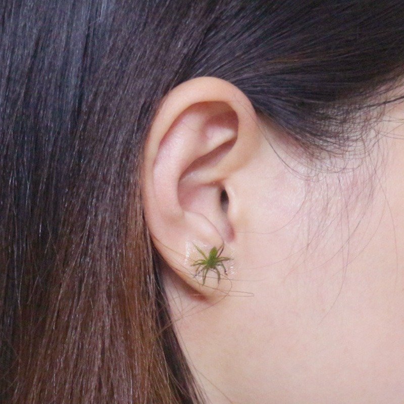 耳朵小怪物 - 綠蜘蛛【偽】耳環/耳飾 - 耳環/耳夾 - 其他材質 綠色