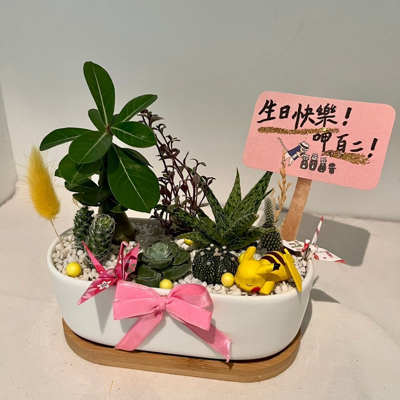 皮卡丘 寶可夢 開幕送禮 多肉組盆 多肉植物 創意盆栽 盆栽送禮 - 盆栽/植栽 - 植物．花 綠色