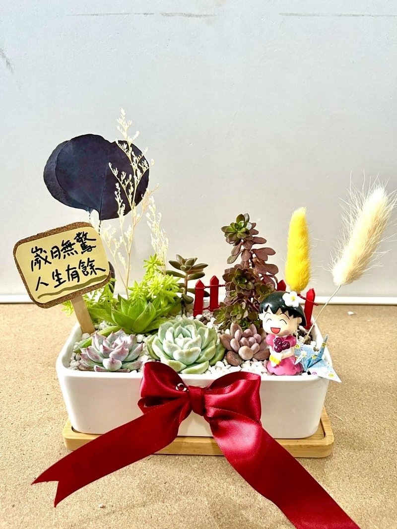 櫻桃小丸子ちびまる子ちゃん 日式 多肉組盆 多肉植物 洋裝小丸子 - 盆栽/植栽 - 植物．花 綠色