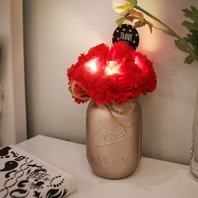 Via K Studio Carnation LED Simulation Flower Night Light Mother's Day Gift Valentine's Day Gift - Lighting - Other Materials Red
