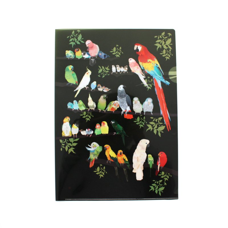 A4 size clear file BIRD - Folders & Binders - Plastic Green