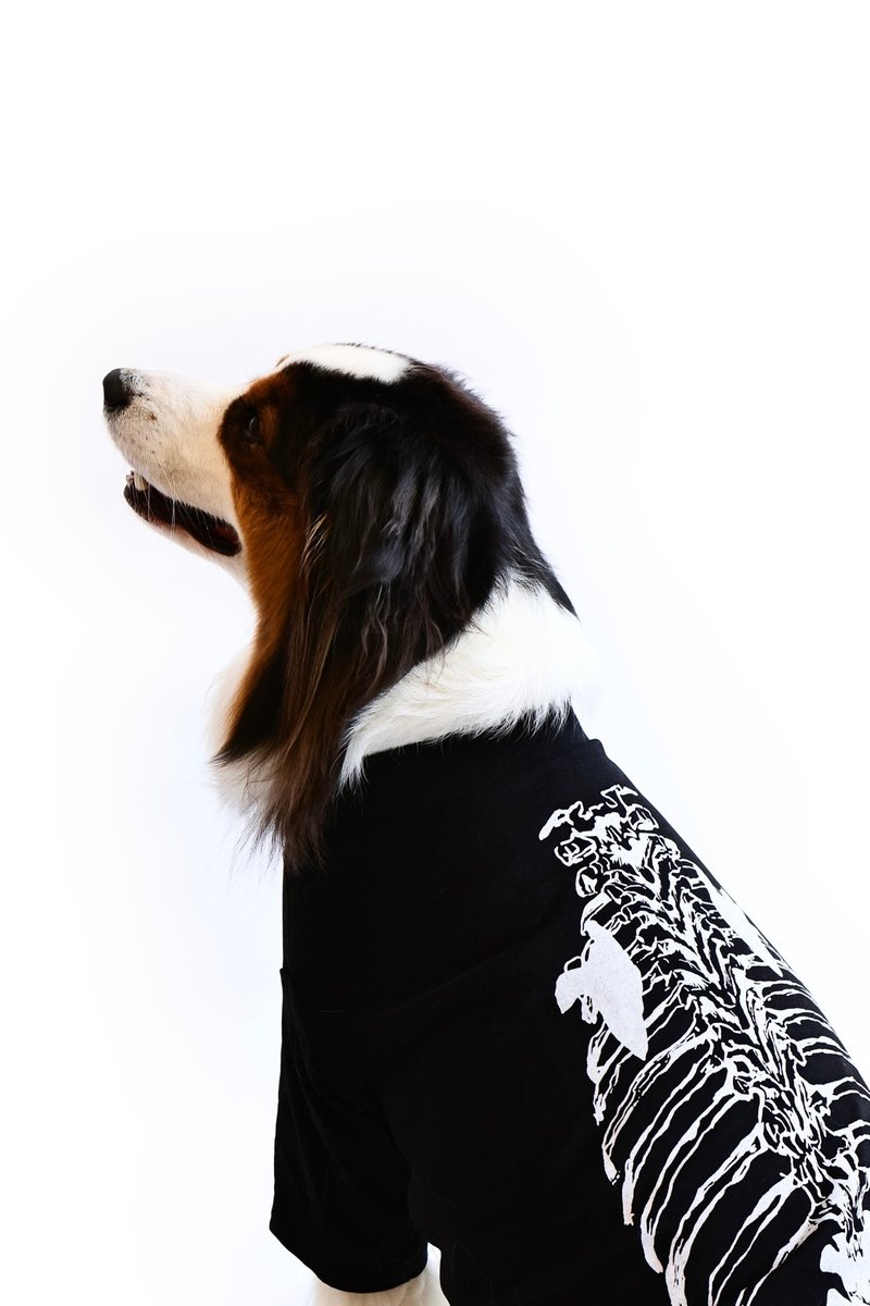 Dog Anatomy Tee Dog Kick-Dog Structure XL-3XL - Clothing & Accessories - Cotton & Hemp Black