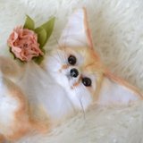 isagi アロマディフューザー ミニム ブルー isagi} ミニム アロマディフューザー - ショップ isagi アロマ