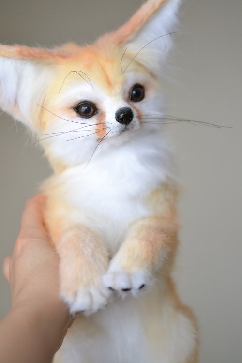 Realistic fennec fox toy - Shop MoonFoxToys Stuffed Dolls & Figurines -  Pinkoi